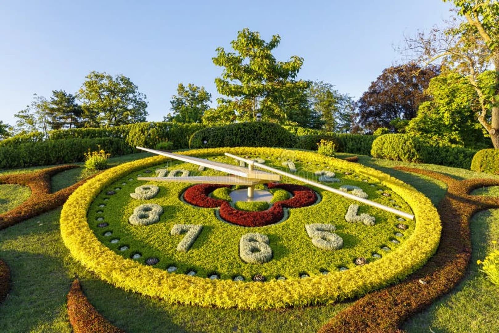 Admire the Flower Clock