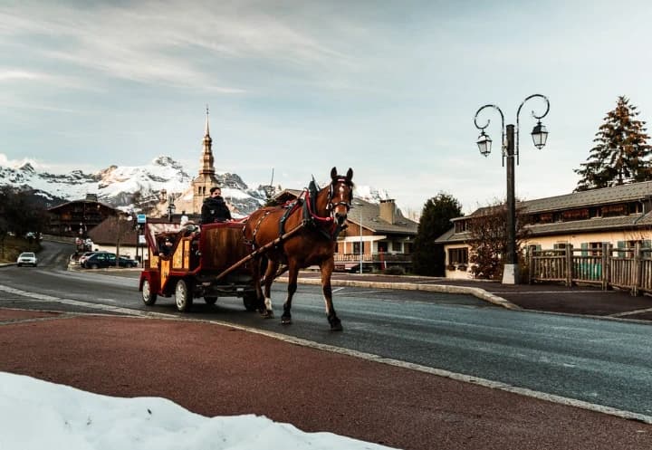 Embark on a Horse Sleigh Ride