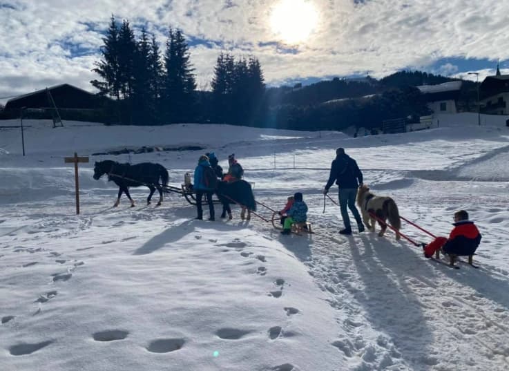 Enjoy a Pony Experience